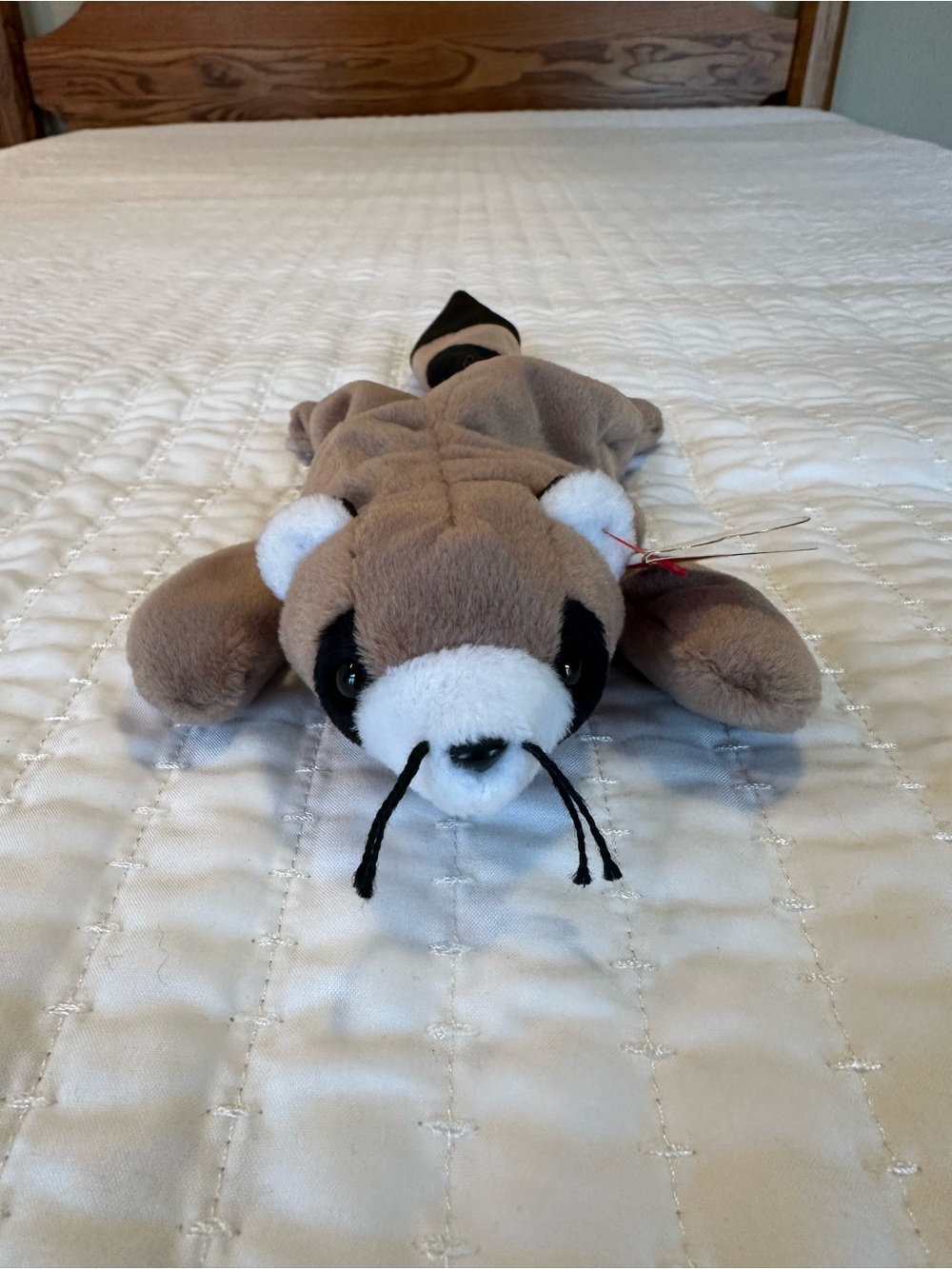 Ringo the Raccoon Beanie Baby